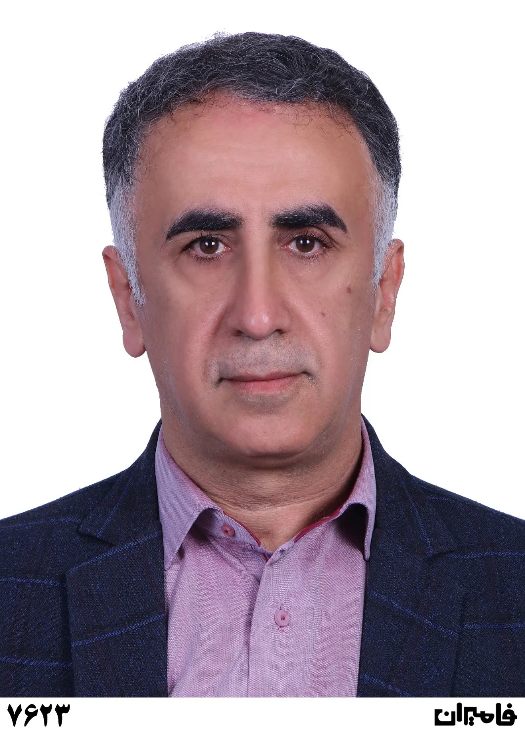 محمد مهدی ایران دوست