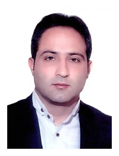 سید مرتضی حسینی